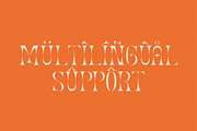 Myrollate Stencil Serif, a Serif Font by Typegoals Studio (Thumbnail 5 of 9)