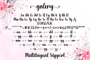 Galery, a Script Font by DN Creative (Thumbnail 7 of 8)