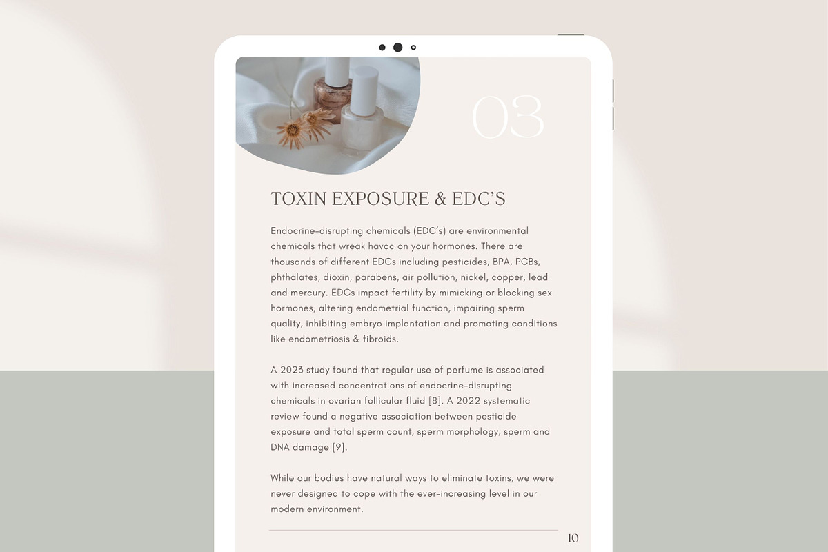 Preconception Fertility Ebook Canva, a Presentation Template by Naturopath Hub (Photo 8 of 9)