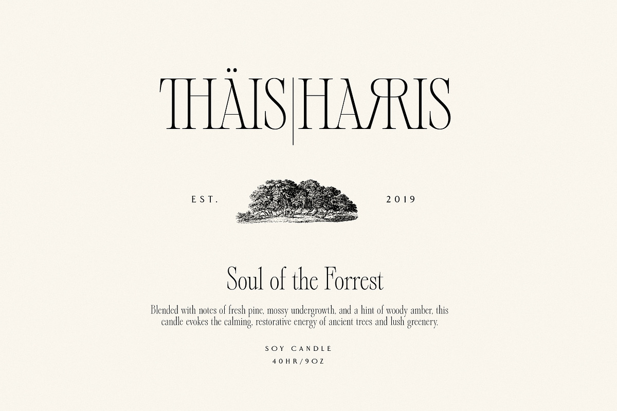 Alizee - Classy Hybrid Serif, a Serif Font by Harmonais Visual (Photo 21 of 29)