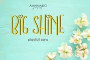 Best Handwritten Bundle 20 Fonts, a Script Font by AMINMARIO (Thumbnail 12 of 20)