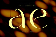 Abigail - Popular Classy Modern Seri, a Serif Font by suhadidesign (Thumbnail 14 of 14)