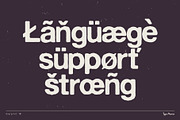 Overprint TM – Distressed Sans Serif, a Sans Serif Font by Type Mania (Thumbnail 9 of 10)