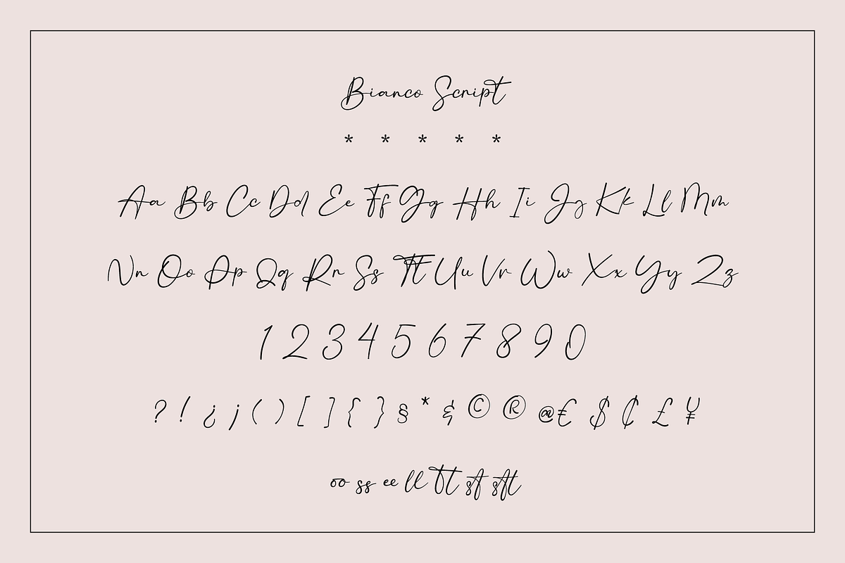 Bianca & Bianco Font Duo, a Font by Sofia Skoog (Photo 13 of 16)