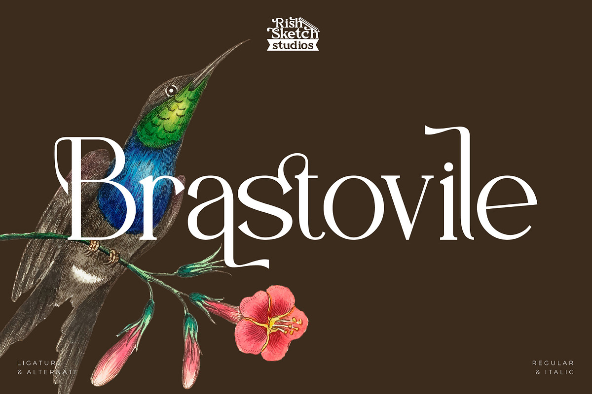 Brastoville - Modern Serif Font, a Serif Font by Rishsketch (Photo 1 of 15)