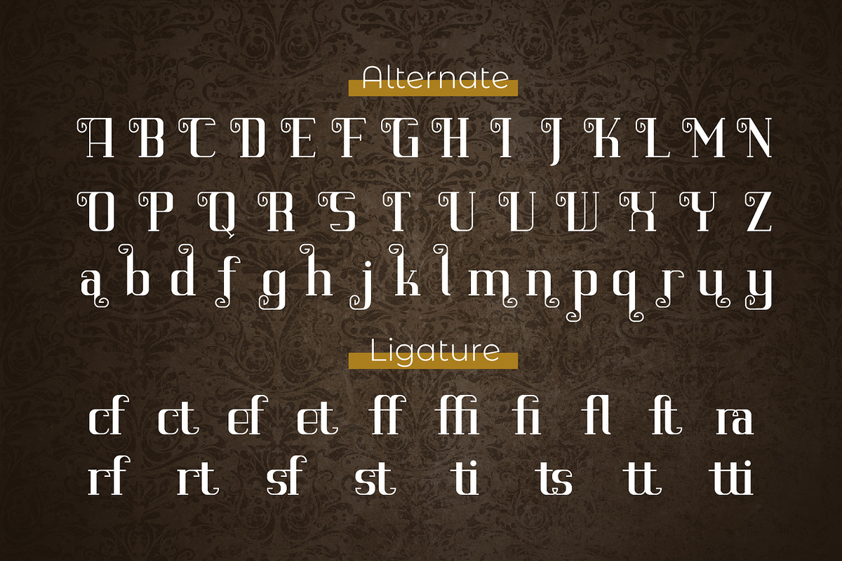 Gramorfine, a Serif Font by Rishsketch (Photo 10 of 12)