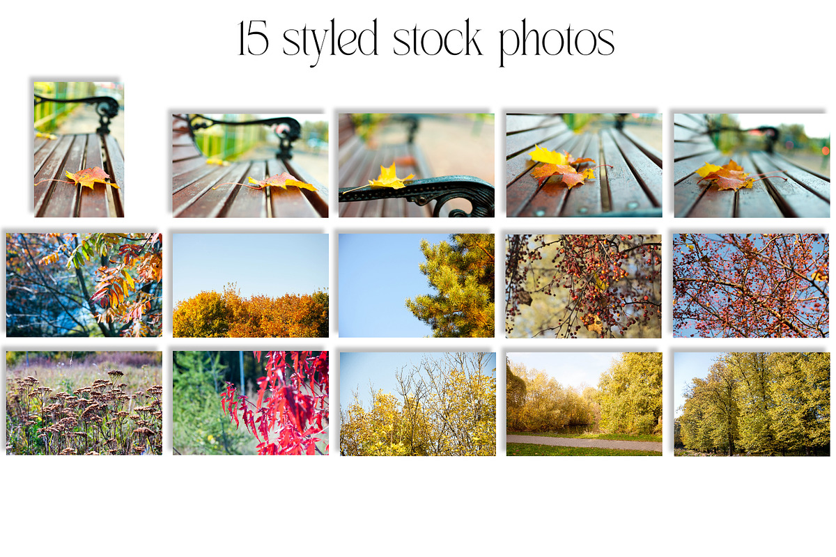 Autumn Mockup Bundle. Fall Mockup., a Print Template by MockupMarket (Photo 7 of 20)