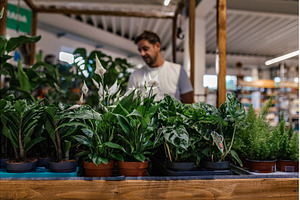 Customer shopping in garden centre, a Nature Photo by HalfPoint
