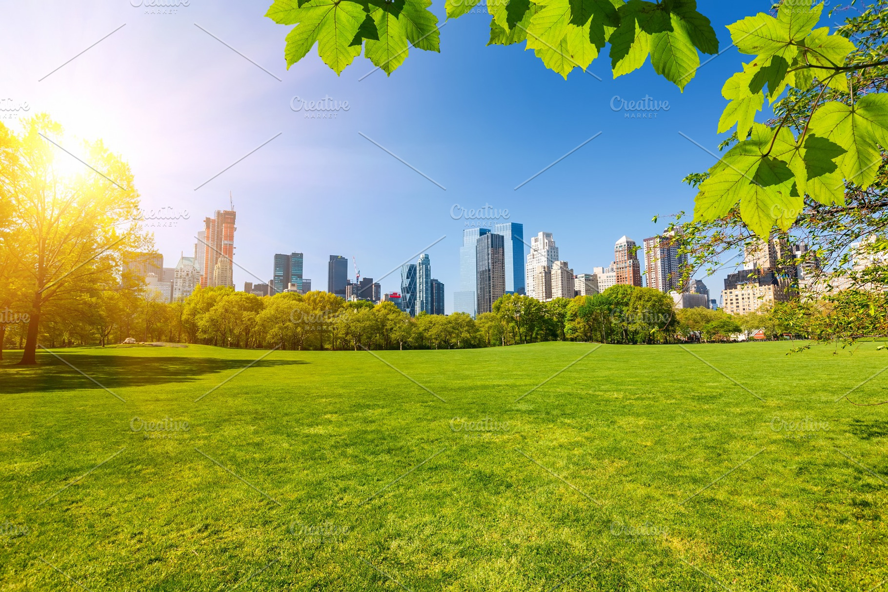 Central park new york containing central park, park, and central, an Architecture Photo by sborisov
