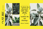 Wave Vero - Elegant Typeface, a Sans Serif Font by AuthenType (Thumbnail 10 of 12)