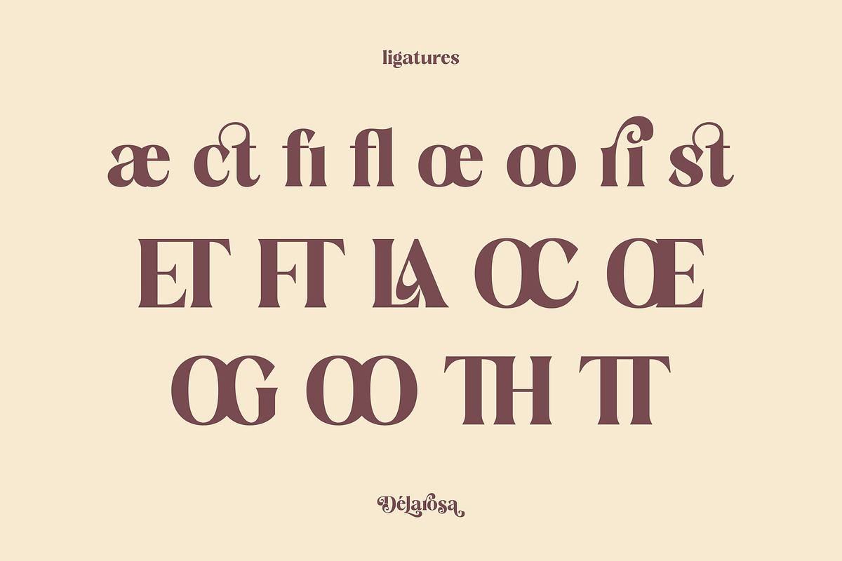 Delarosa - A Decorative Serif, a Serif Font by agnyhasyastudio (Photo 16 of 17)