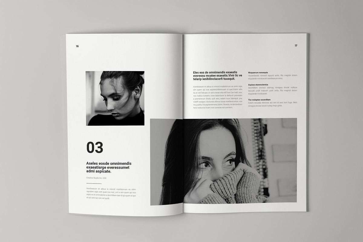 Case Study Template, a Brochure Template by HR Studio (Photo 9 of 12)