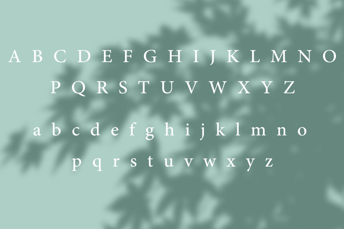 Verde Elegant Modern Font preview 8