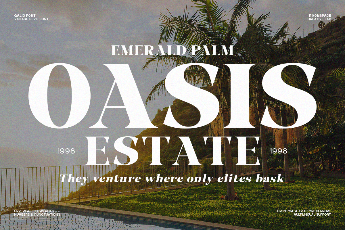 Galio Vintage Elegant Serif Display, a Serif Font by roomspace creative lab (Photo 8 of 10)