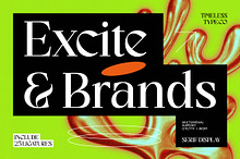 Excite Brands Modern Editorial Serif