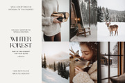 CHRISTMAS ~ 150 Holiday Stock Photos, a Holiday Photo by Muse Mockups (Thumbnail 5 of 17)