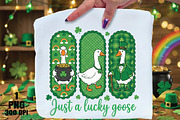 St Patrick’s Day Goose PNG, an Illustration by Daily.Designs (Thumbnail 1 of 5)