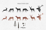 WATERCOLOR DEER XMAS BUNDLE, an Animal Illustration by KruthDesign (Thumbnail 2 of 12)