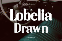 CS Lobelia Drawn
