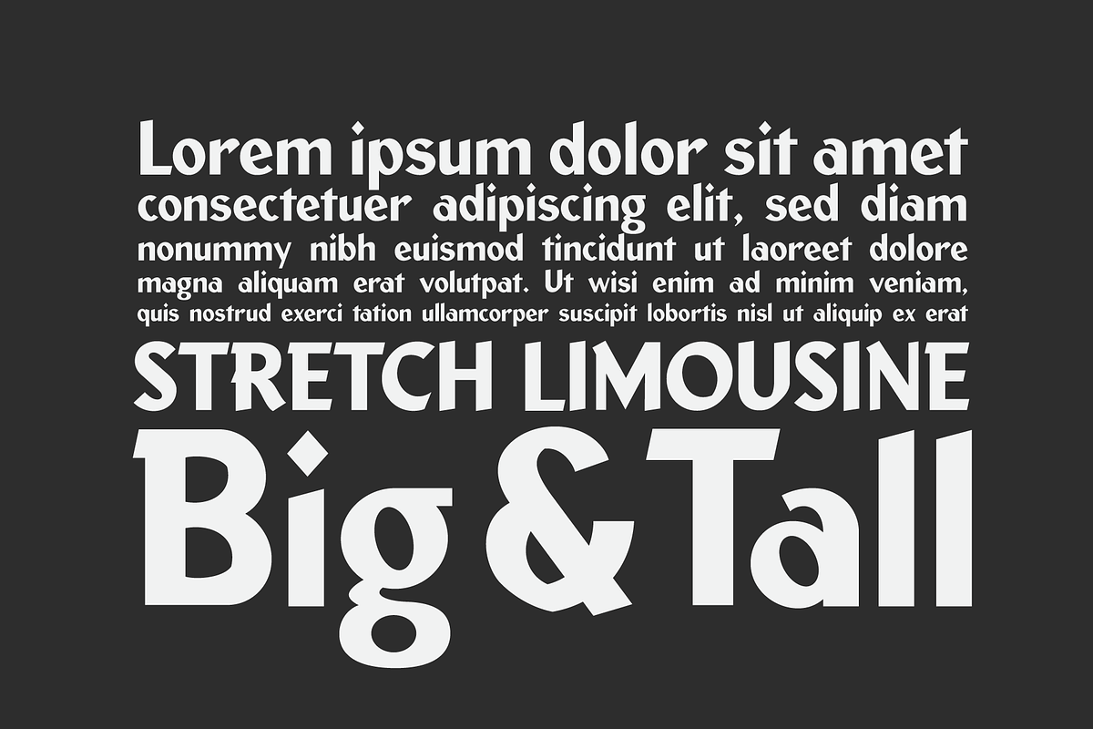Wide Nib, a Sans Serif Font by Doug Best Foundry (Photo 3 of 3)