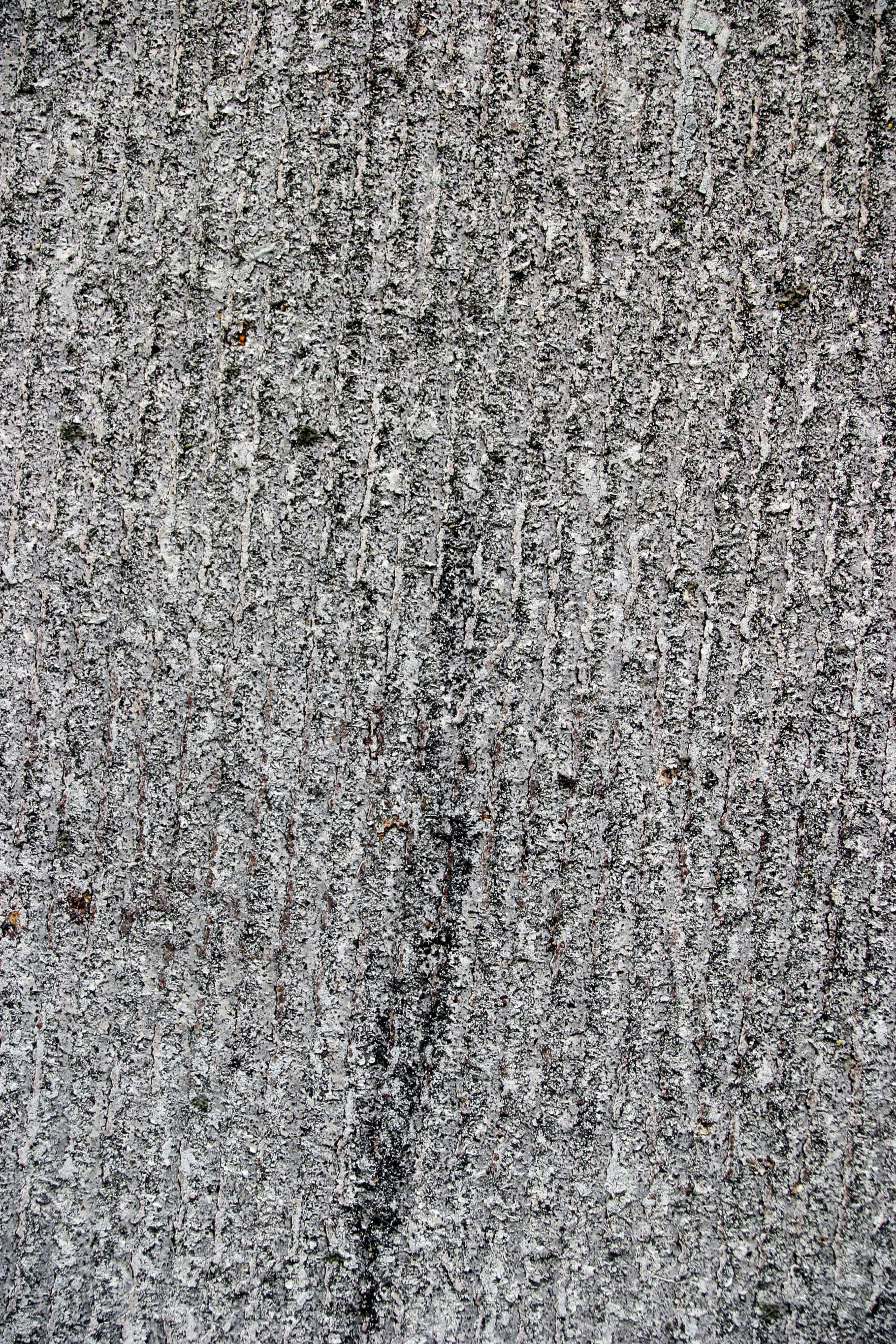 Cracked grunge skate background, a Photo by saiko3p