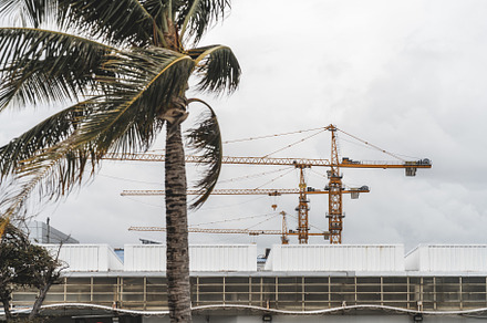 Three construction cranes and a palm, an Industrial Photo by SkyNext
