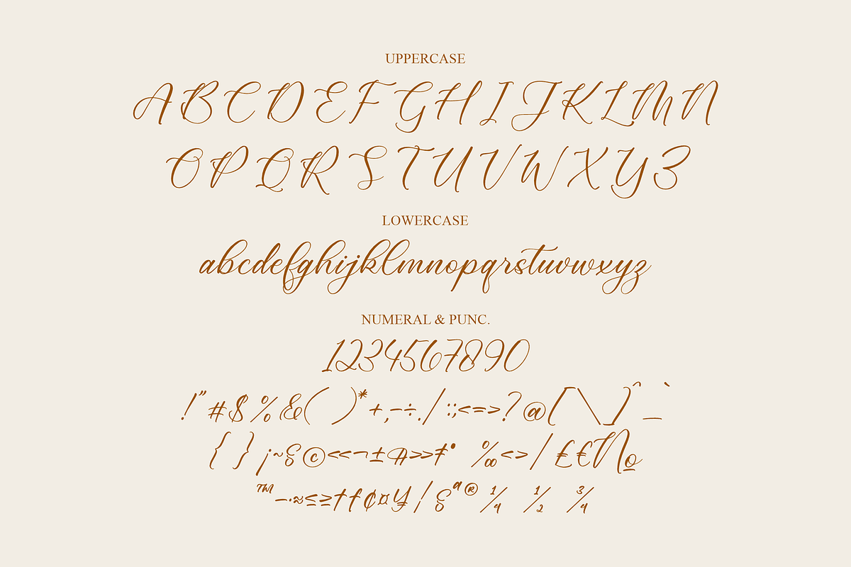 Cathylise Janetson Script Font, a Script Font by Storytype Studio (Photo 13 of 16)