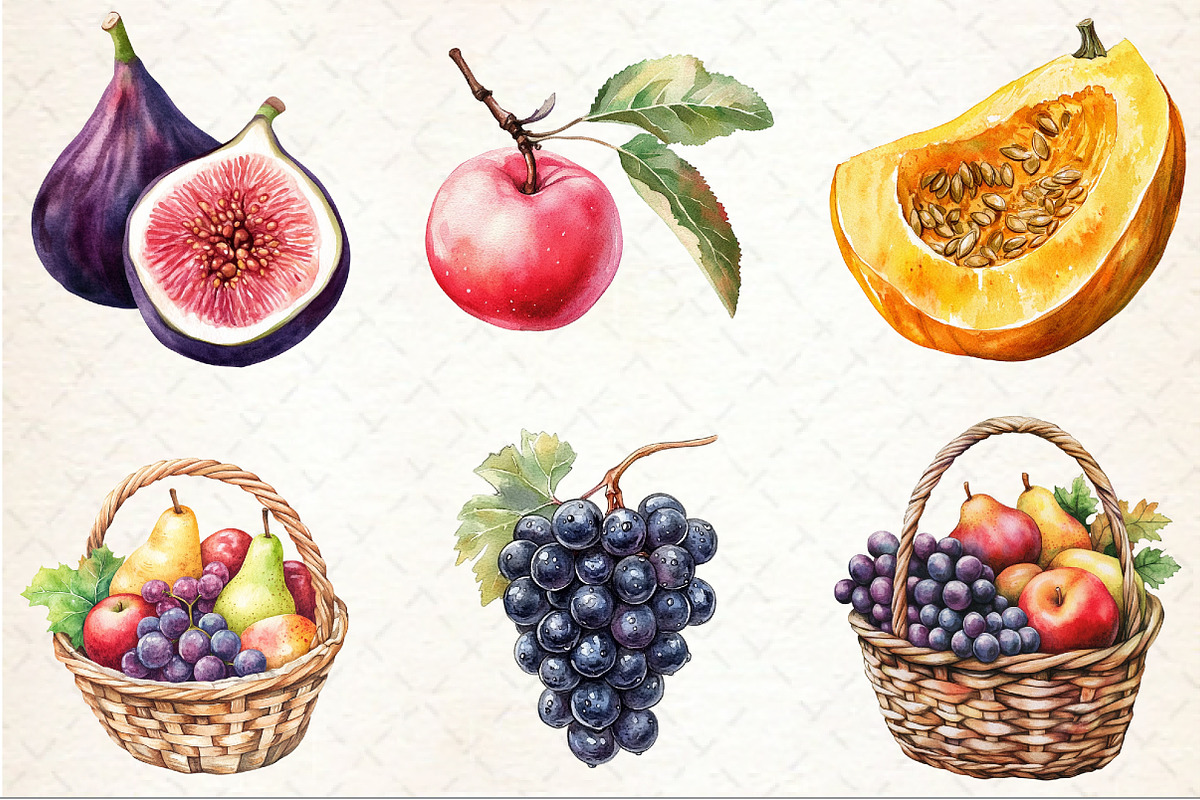 Watercolor Autumn Fruits Clipart, an Illustration by Rose Art (Photo 2 of 7)