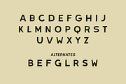 Cratewood by Ocotillo Design Studio, a Sans Serif Font by Ocotillo Design Studio (Thumbnail 2 of 7)