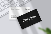 Salvador - Modern Serif Typeface, a Serif Font by overlaytemplates (Thumbnail 2 of 5)