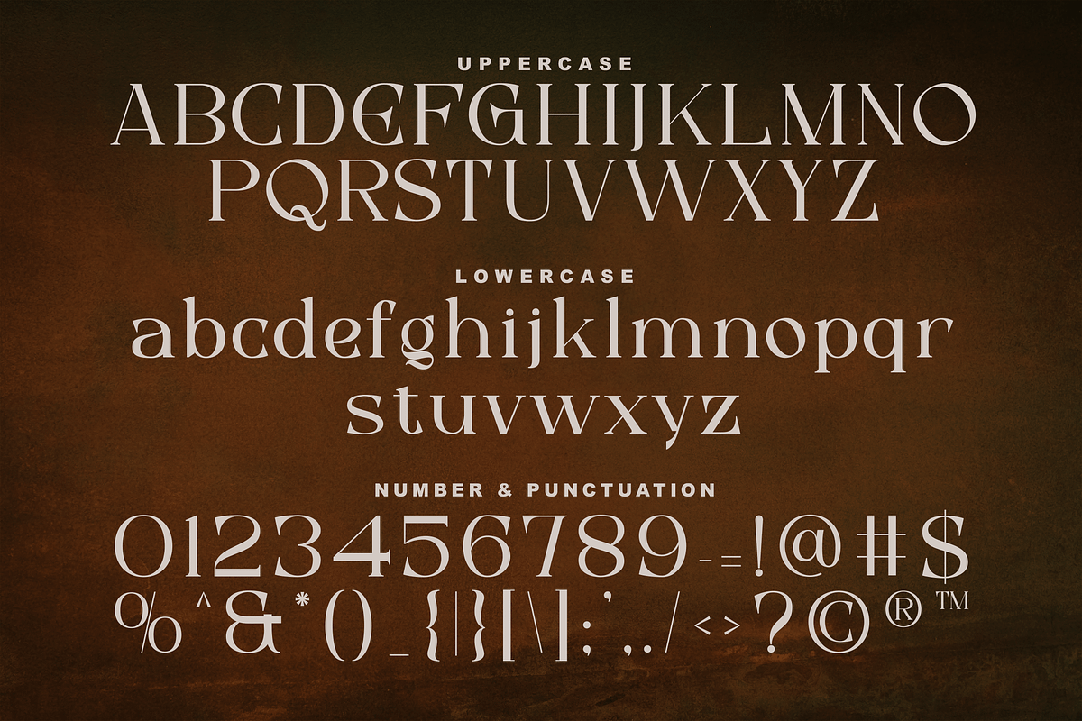 Mayoze - Elegant Classic Font, a Serif Font by Salamahtype (Photo 6 of 7)