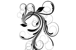 Floral Vectors, PNG & Ps Brushes