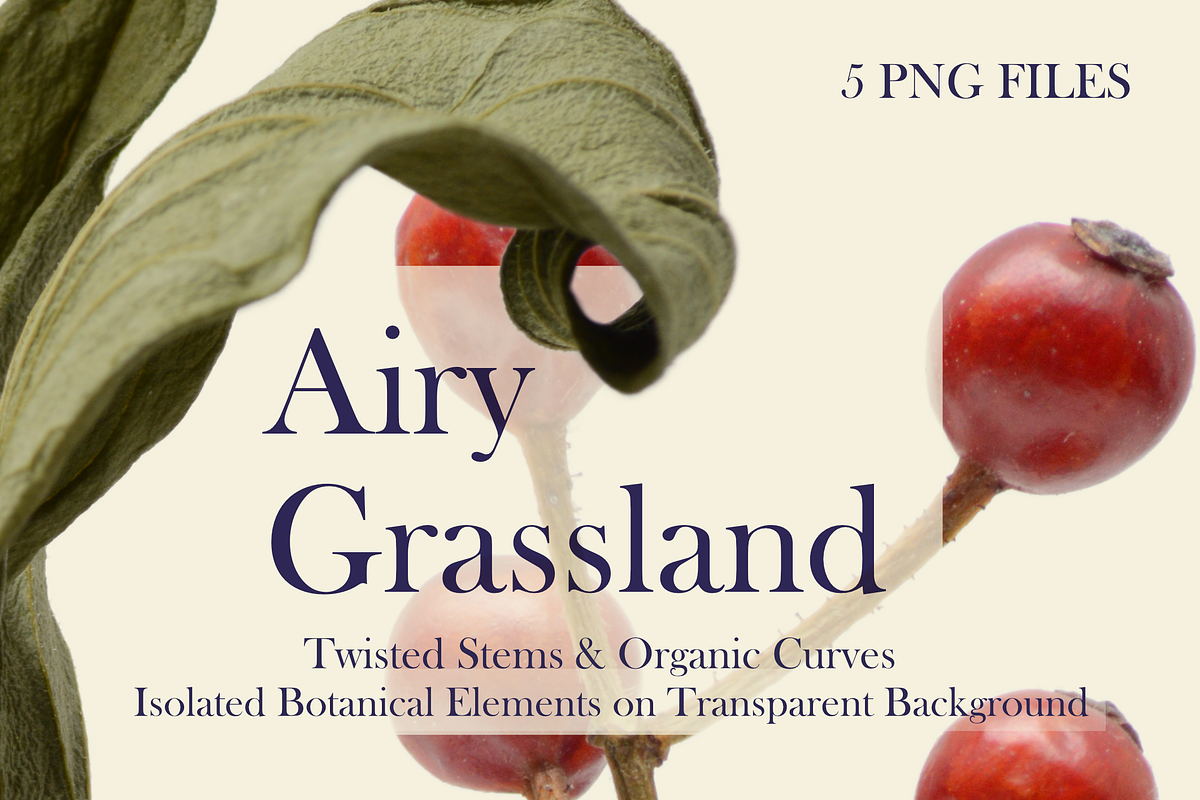 Airy Grassland — Twisted Stems & Org, an Object Graphic by Aga Silva (Photo 1 of 4)