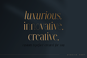 Avarice - serif typeface | 4 fonts, a Serif Font by Only Fonts (Thumbnail 7 of 10)