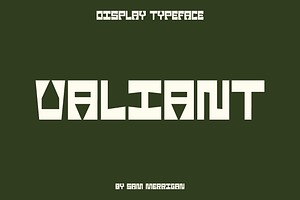Vintage - Valiant Display