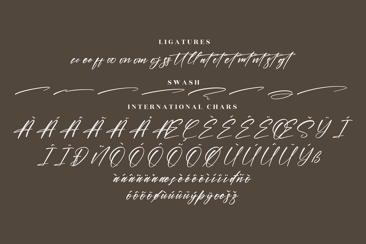 Hunterlost Modern Signature Font, a Script Font by Letterena Studios Script (Photo 14 of 15)