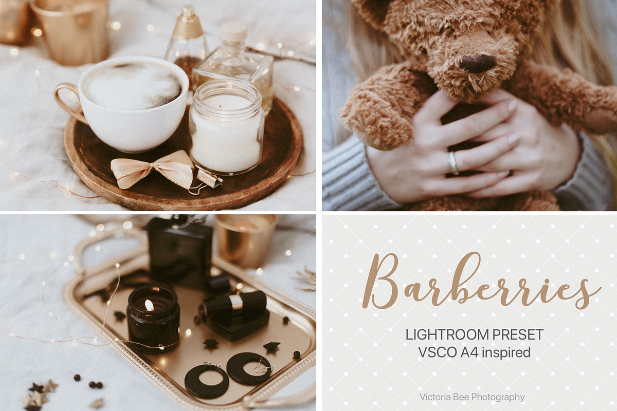 Desktop Lightroom Presets BARBERRY, an Action Add-On by Victoria Bee Presets (Photo 14 of 14)