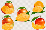 Watercolor Mango Fruit Clipart, a Food Illustration by Vavavan Artwork (Thumbnail 3 of 5)