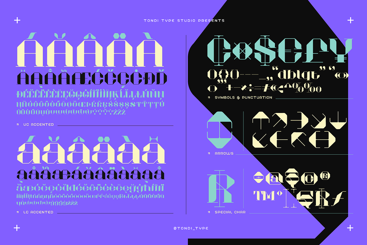Akadis Neue - Contemporary Serif, a Serif Font by Tondi Type Studio (Photo 7 of 19)