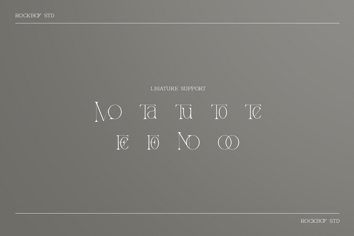 Allegrand - Elegant Serif Font, a Font by RockboyStd (Photo 11 of 12)