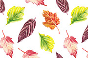 Watercolor autumn set, a Pattern Graphic by lenavetka87 (Thumbnail 3 of 3)