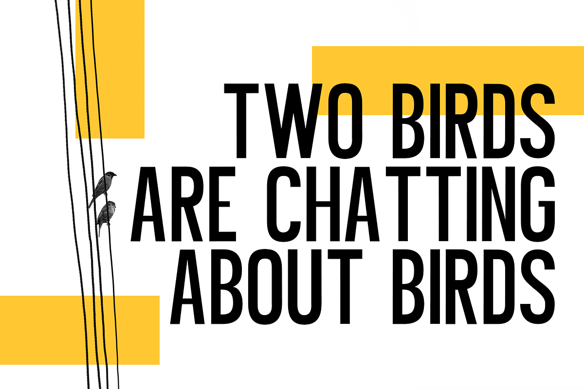 Bordju – Condensed Display Font, a Sans Serif Font by overlaytemplates (Photo 2 of 5)