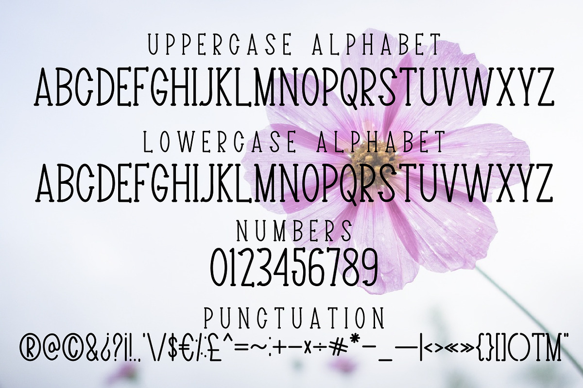 Beautiful Wildflower, a Serif Font by Mini_World (Photo 6 of 7)