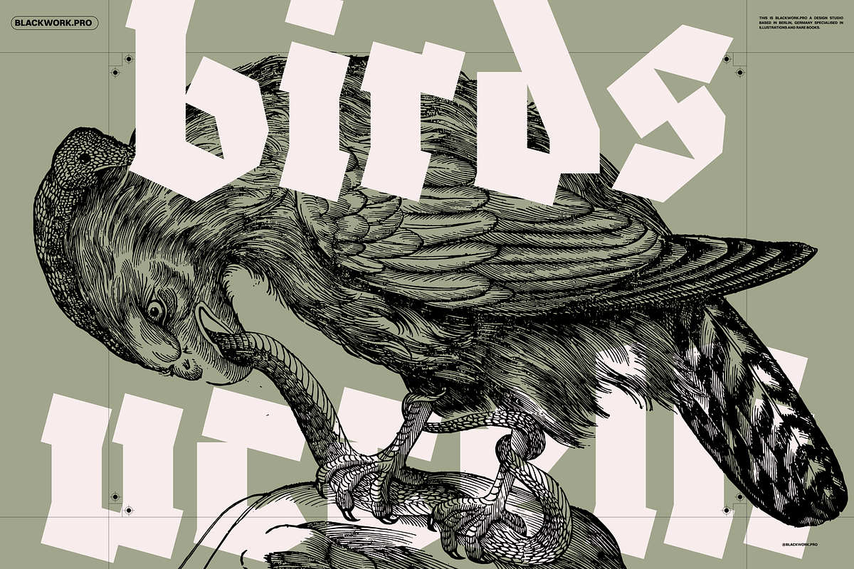 Vintage Bundle - 6600+ Illustrations, an Animal Illustration by Nomad Visuals (Photo 3 of 45)