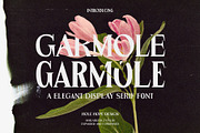 Garmole - Elegant Serif Font, a Serif Font by Hole Hope Design (Thumbnail 1 of 10)