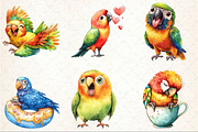Watercolor Funny Parrots Clipart, an Illustration by Rose Art (Thumbnail 3 of 3)