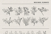 WILD ROSE lineart collection, a Decorative Illustration by heyXeni (Thumbnail 4 of 7)
