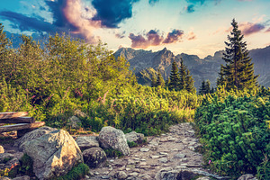 Hiking trail in Tatra mountains.