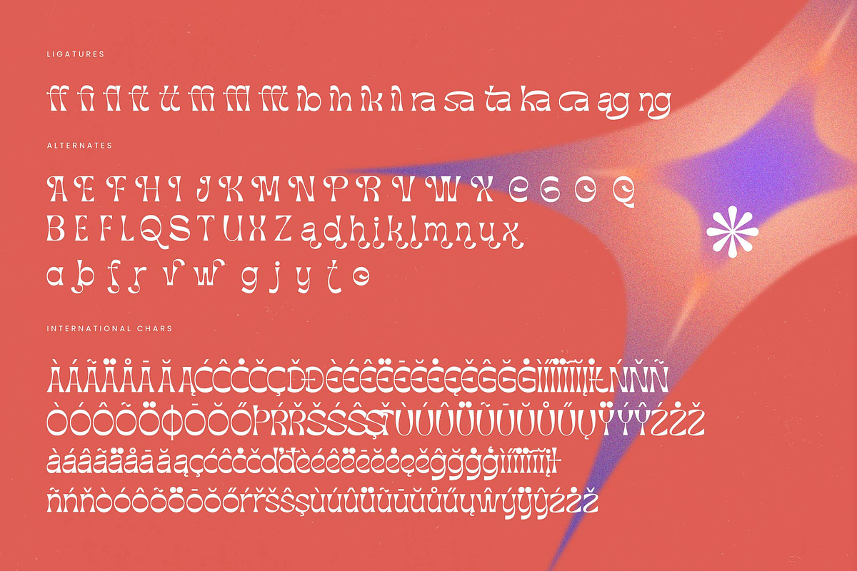 Blazing Hustle Groovy Display Font, a Serif Font by timelesstype.co (Photo 18 of 20)