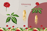 Adaptogenic Medicinal Plant Clipart, a Healthcare Illustration by AnitaPol (Thumbnail 8 of 24)